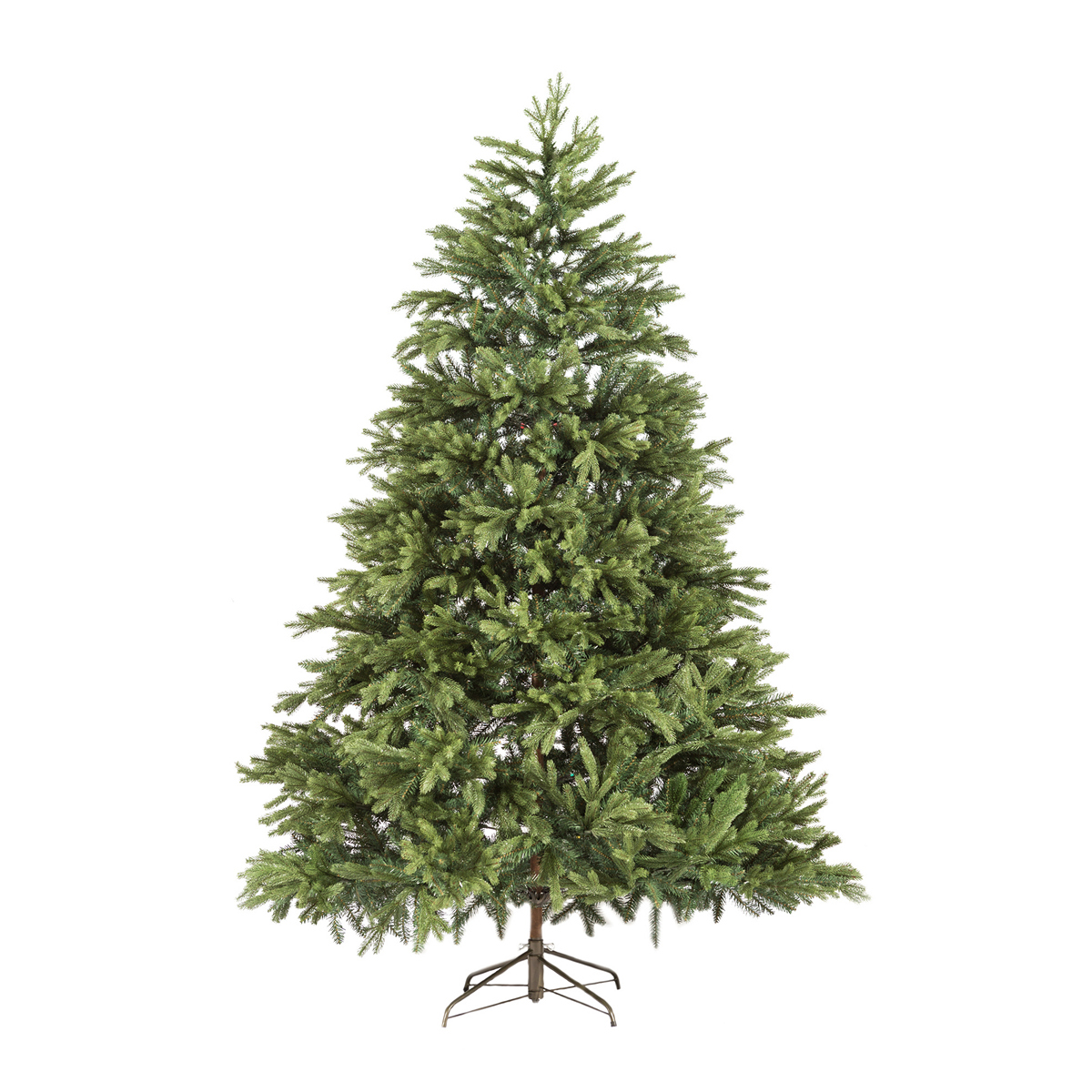 ΔΕΝΤΡΟ VERMONT  2.40μ image