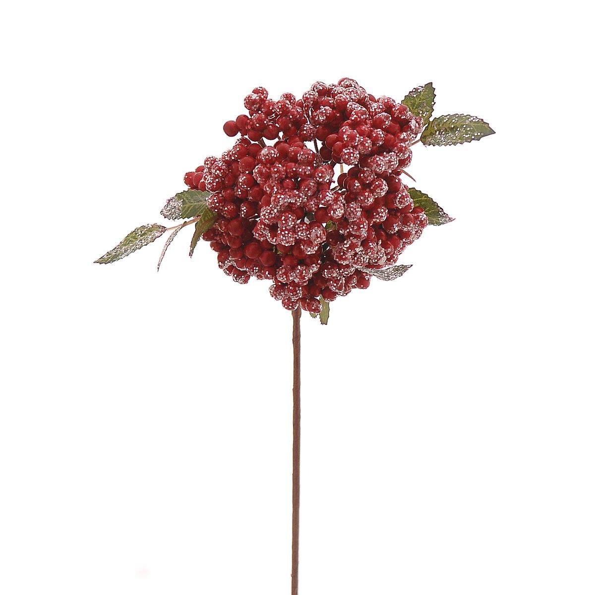 ΚΛΑΔΙ ΓΚΙ ΚΟΚΚΙΝΟ ΠΑΓΩΜΕΝΟ ΜΕ ΦΥΛΛΑ 30cm image