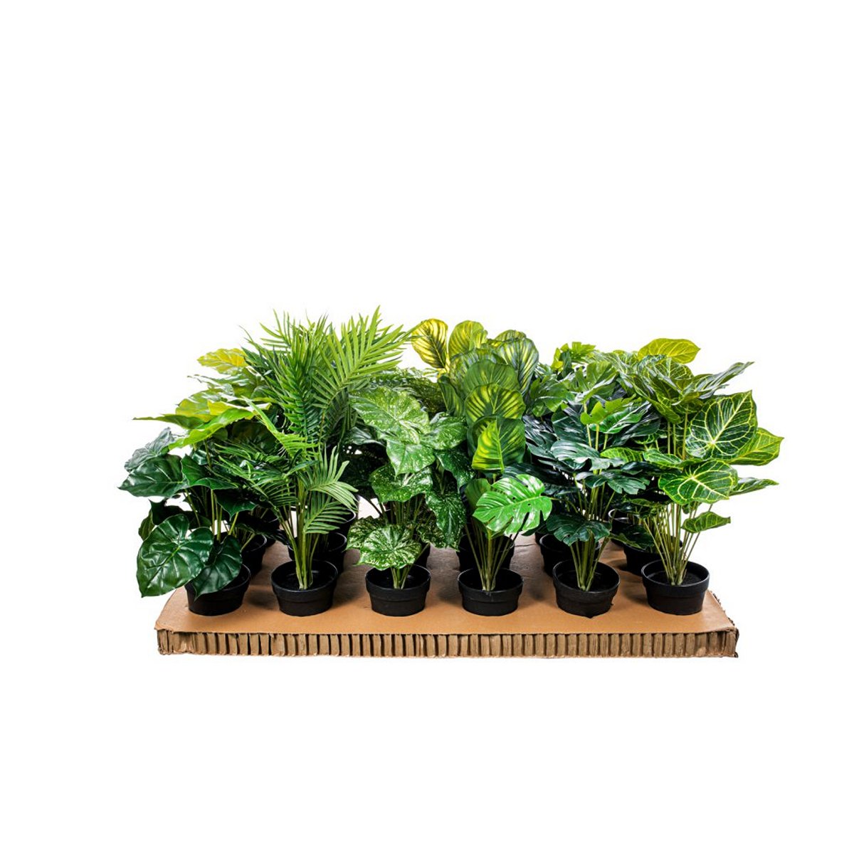 ΠΡΑΣΙΝΑΔΑ ass/6 ΦΥΤΟ ΠΡΑΣΙΝΟ ΣΥΝΘΕΤΙΚΟ Η50cm image