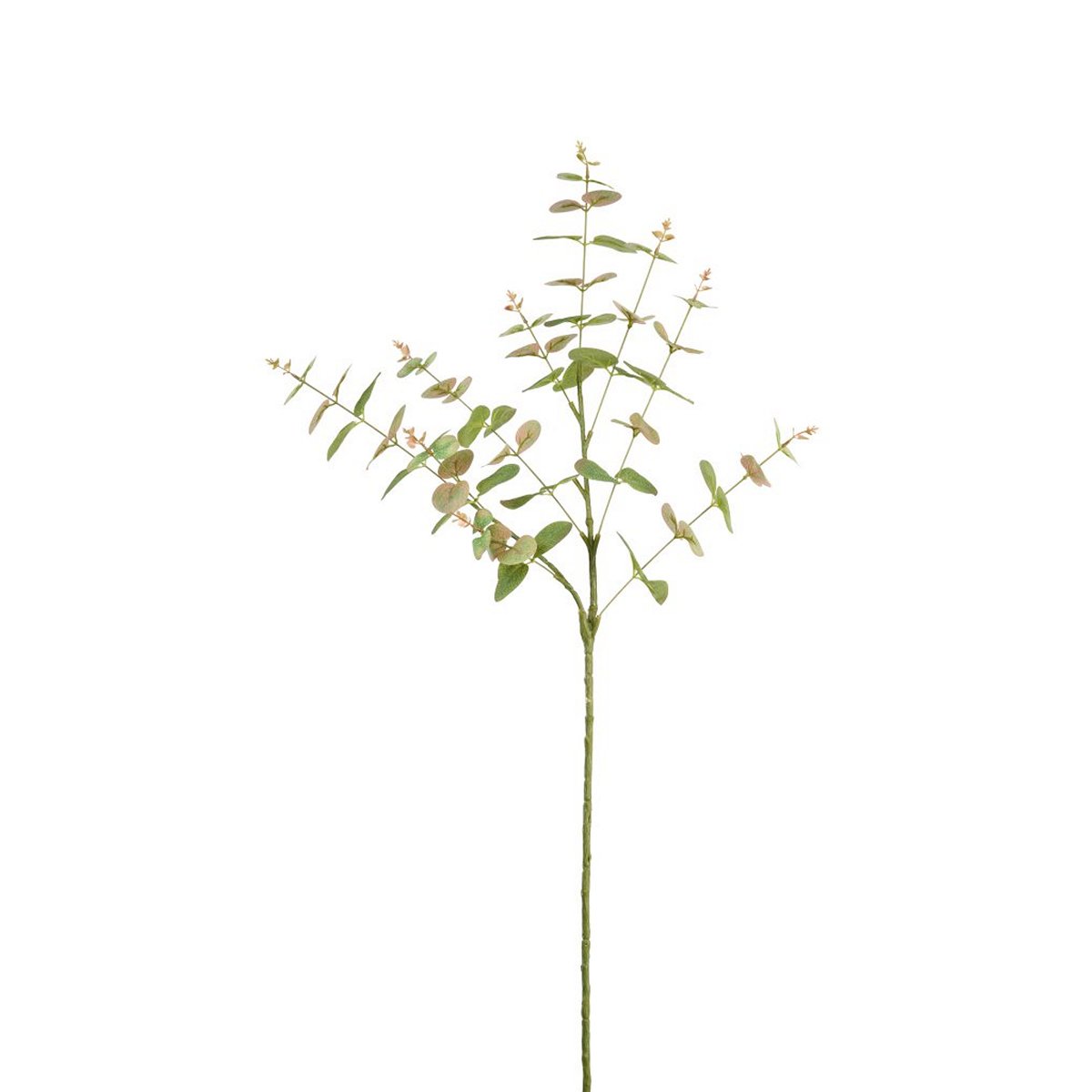 ΕΥΚΑΛΥΠΤΟΣ ΚΛΑΔΙ ΠΡΑΣΙΝΟ 83cm ΣΥΝΘΕΤΙΚΟ image