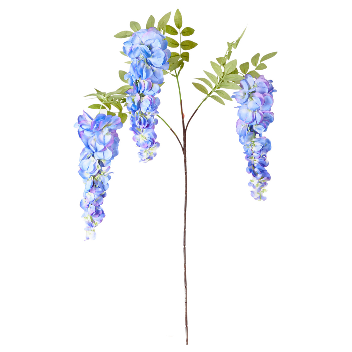 ΓΛΥΤΣΙΝΙΑ ΚΛΑΔΙ ΜΠΛΕ 105cm image