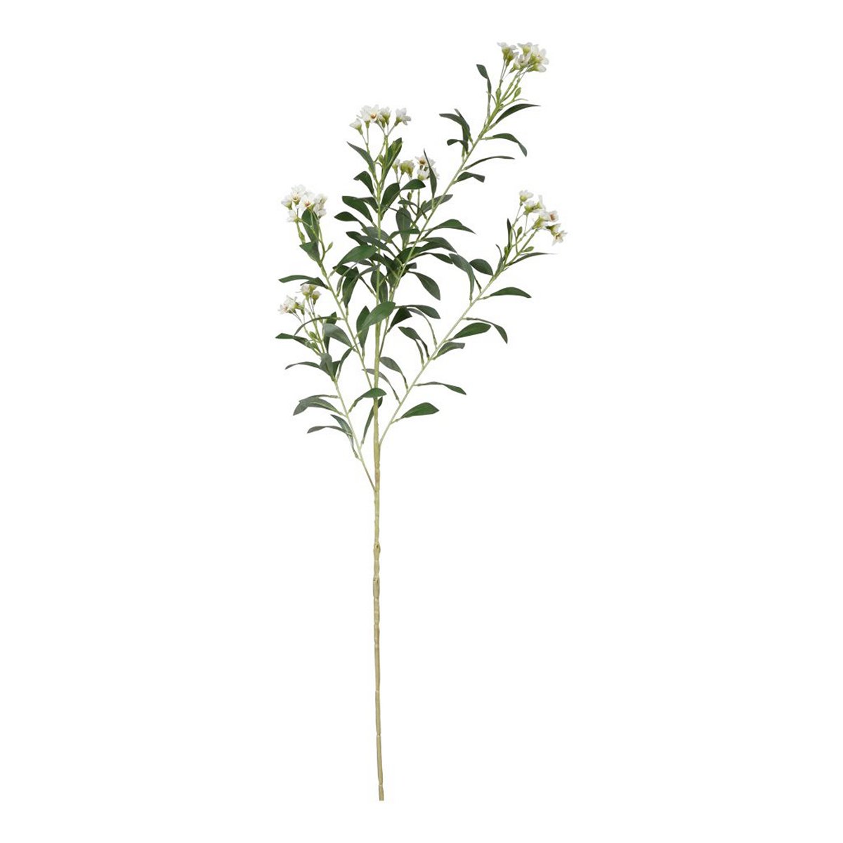 ΑΓΓΕΛΙΚΗ ΚΛΑΔΙ ΛΕΥΚΑ ΑΝΘΗ PITTOSPORUM 78cm ΣΥΝΘΕΤΙΚΟ image