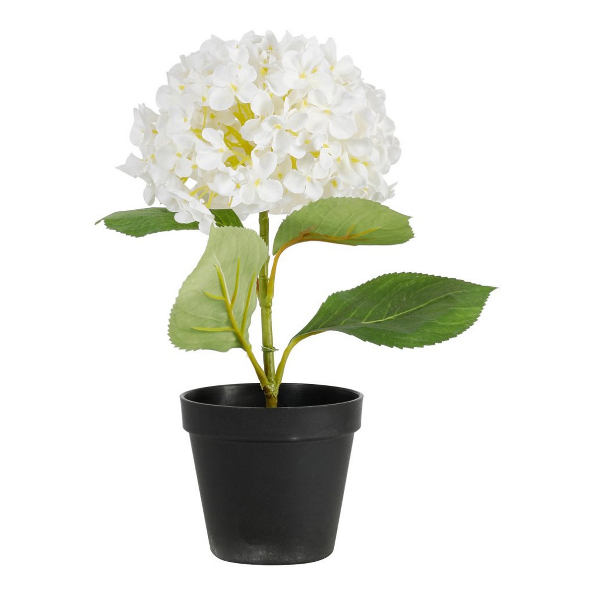 ΟΡΤΑΝΣΙΑ ΦΥΤΟ ΛΕΥΚΟ H34cm ΣΥΝΘΕΤΙΚΟ image