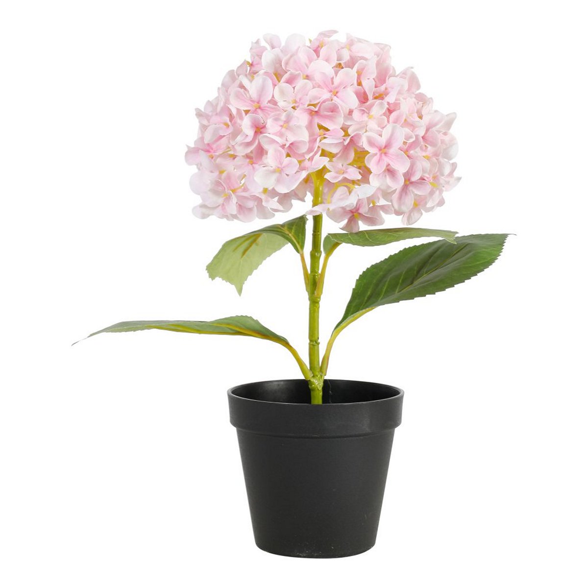 ΟΡΤΑΝΣΙΑ ΦΥΤΟ ΡΟΖ H34cm ΣΥΝΘΕΤΙΚΟ image