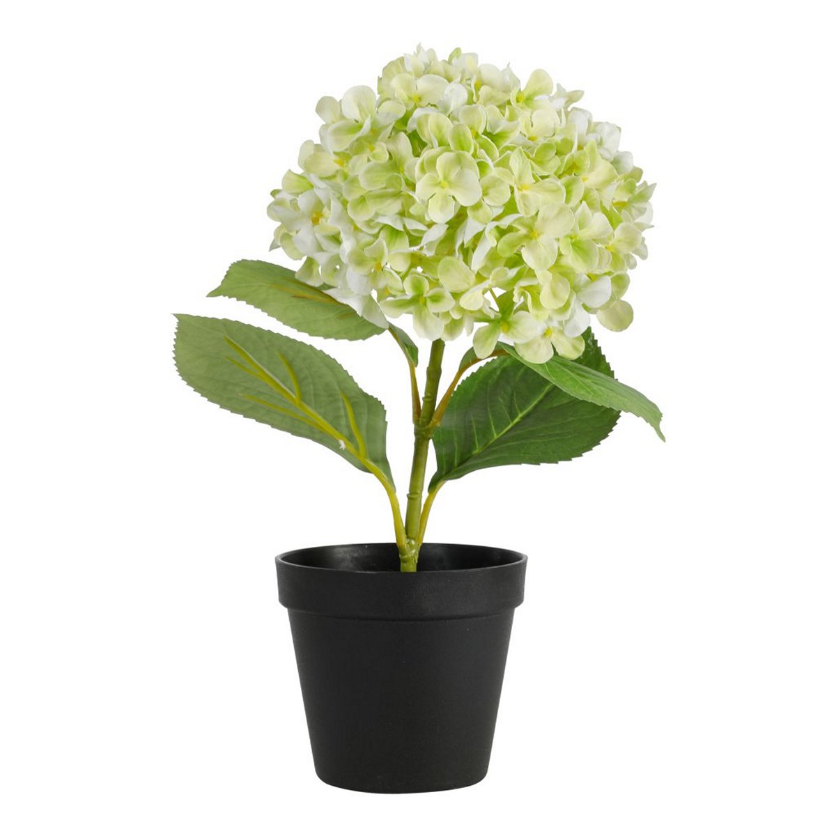 ΟΡΤΑΝΣΙΑ ΦΥΤΟ ΠΡΑΣΙΝΟ H34cm ΣΥΝΘΕΤΙΚΟ image