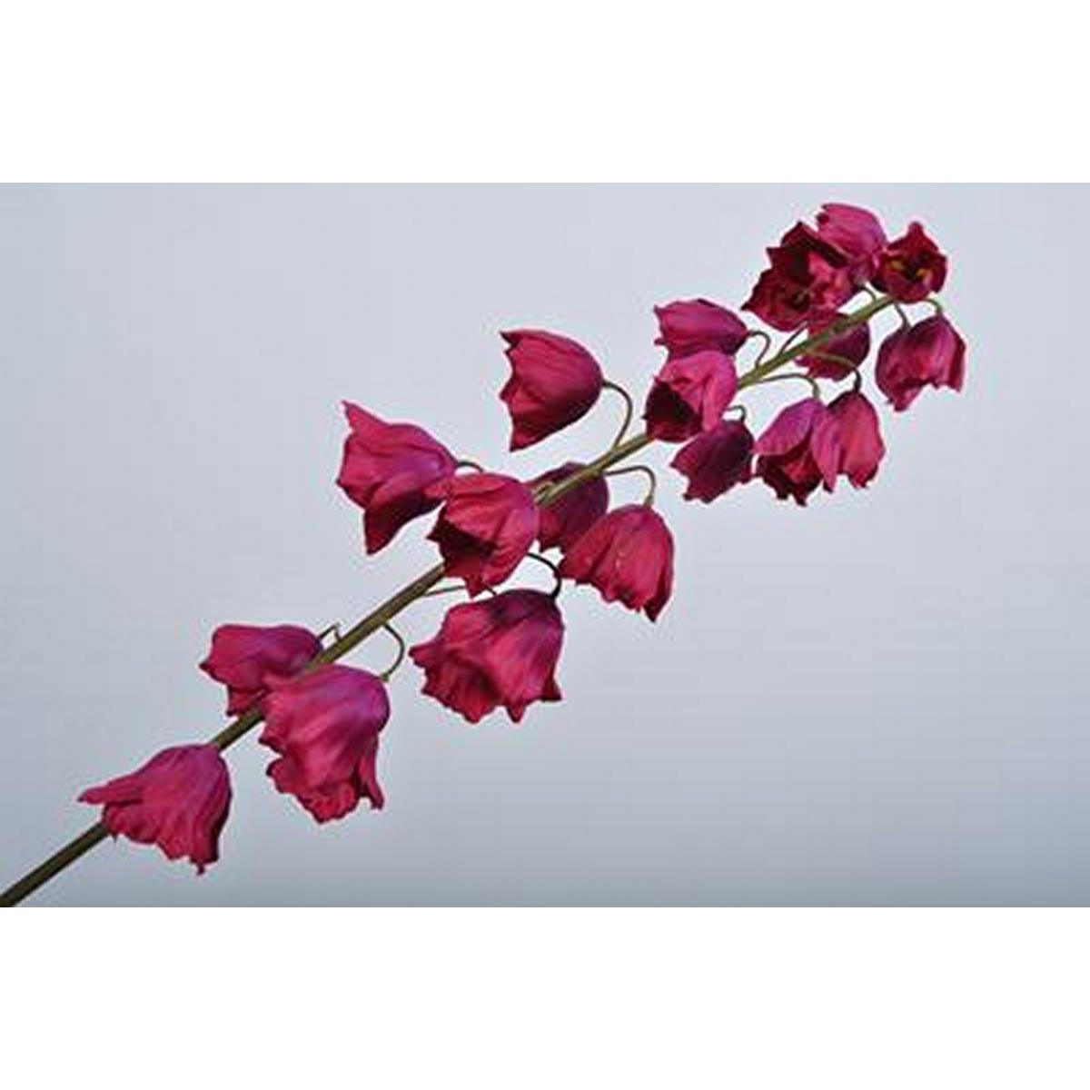 ΦΡΙΤΙΛΑΡΙΑ ΚΛΑΔΙ LAV LT 95cm image