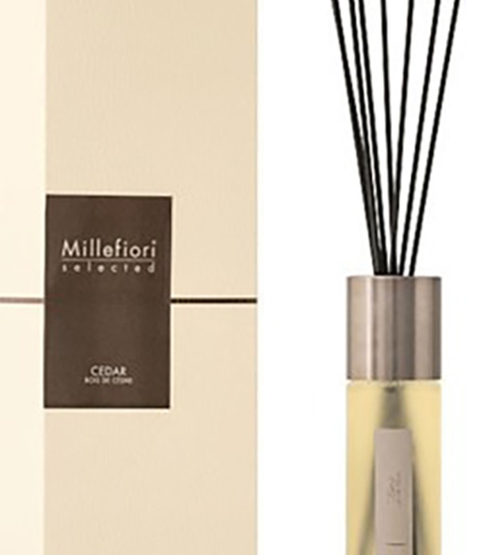 ΑΡΩΜΑΤΙΚΟ ΧΩΡΟΥ ΜΕ STICKS SELECTED 100 ML CEDAR image