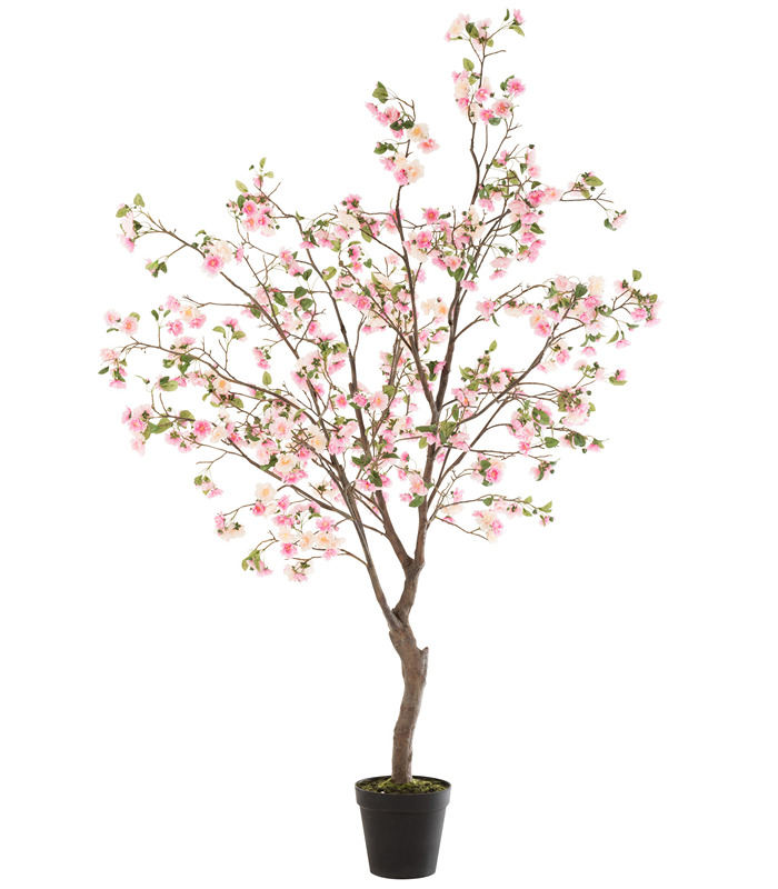 ΦΥΤΟ ΑΝΘΙΣΜΕΝΗ ΚΕΡΑΣΙΑ ΣΕ ΓΛΑΣΤΡΑ ΡΟΖ/ΚΑΦΕ XL (110x110x240cm) image