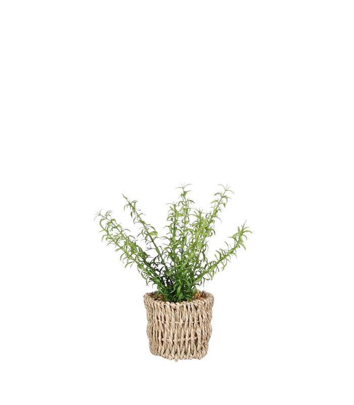 ΣΠΑΡΑΓΓΙ ΦΥΤΟ ΠΡΑΣΙΝΟ ΣΕ ΠΛΕΚΤΟ ΚΑΛΑΘΙ ΦΥΣΙΚΟ Adiantum ΣΥΝΘΕΤΙΚΟ h26xd10cm image