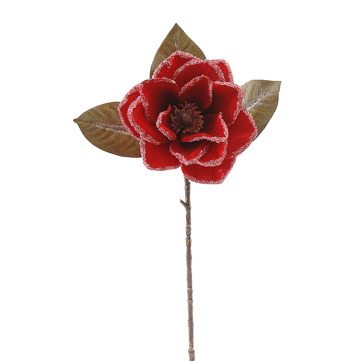 ΜΑΝΩΛΙΑ 83 image