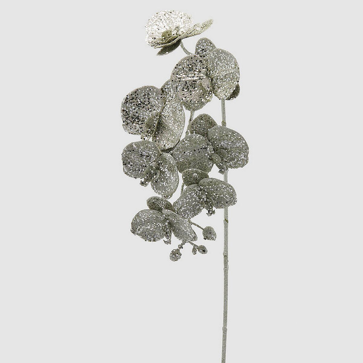 ΟΡΧΙΔΕΑ ΚΛΑΔΙ PHALAENOPSIS ΑΣΗΜΙ GLITTER H85cm image