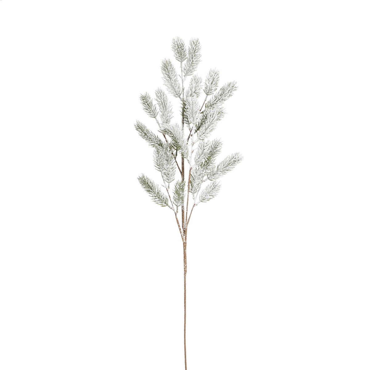 ΚΛΑΔΙ ΠΕΥΚΟΥ ΠΡΑΣΙΝΟ ΠΑΓΩΜΕΝΟ L102cm image