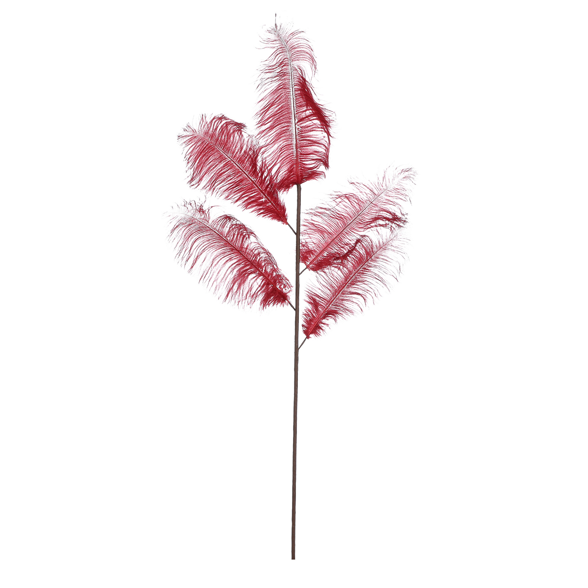 ΚΛΑΔΙ ΠΟΥΠΟΥΛΟ ΣΚ.ΚΟΚΚΙΝΟ - L125 W30cm feather image