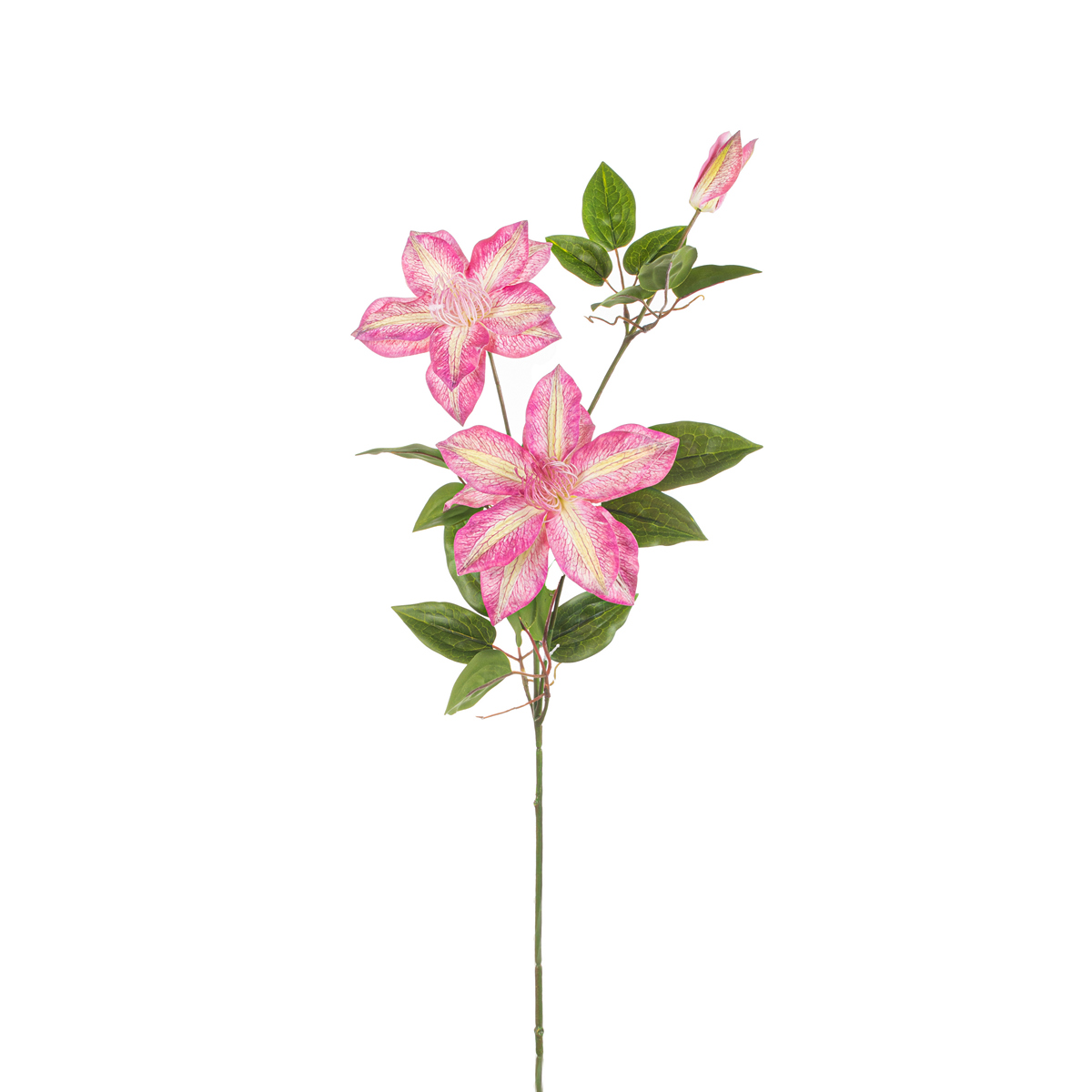 ΚΛΗΜΑΤΙΔΑ ΡΟΖ x 3 ΚΛΑΔΙ 85cm image