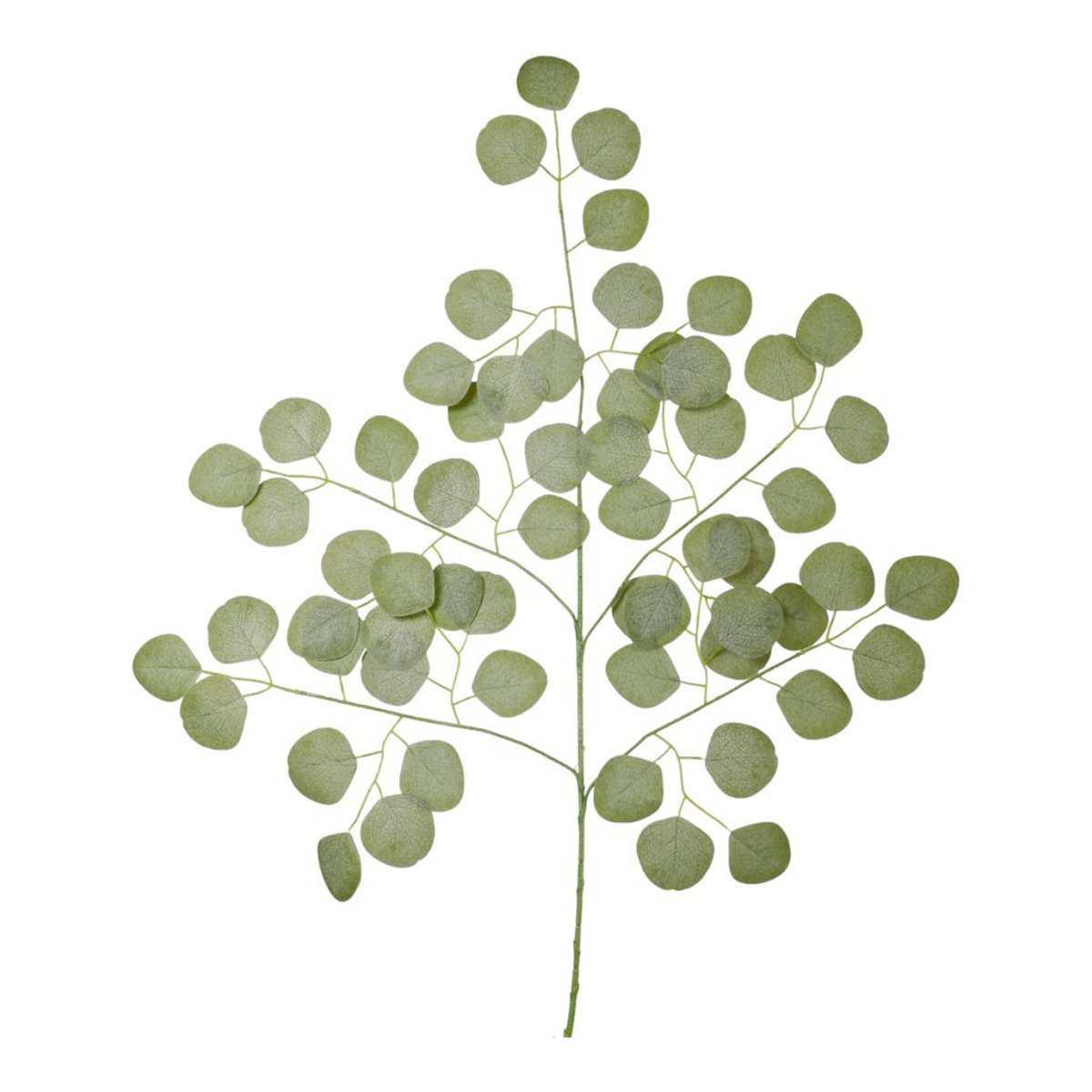 ΕΥΚΑΛΥΠΤΟΣ x 3 ΚΛΑΔΙ ΠΡΑΣΙΝΟ 58cm ΣΥΝΘΕΤΙΚΟ image