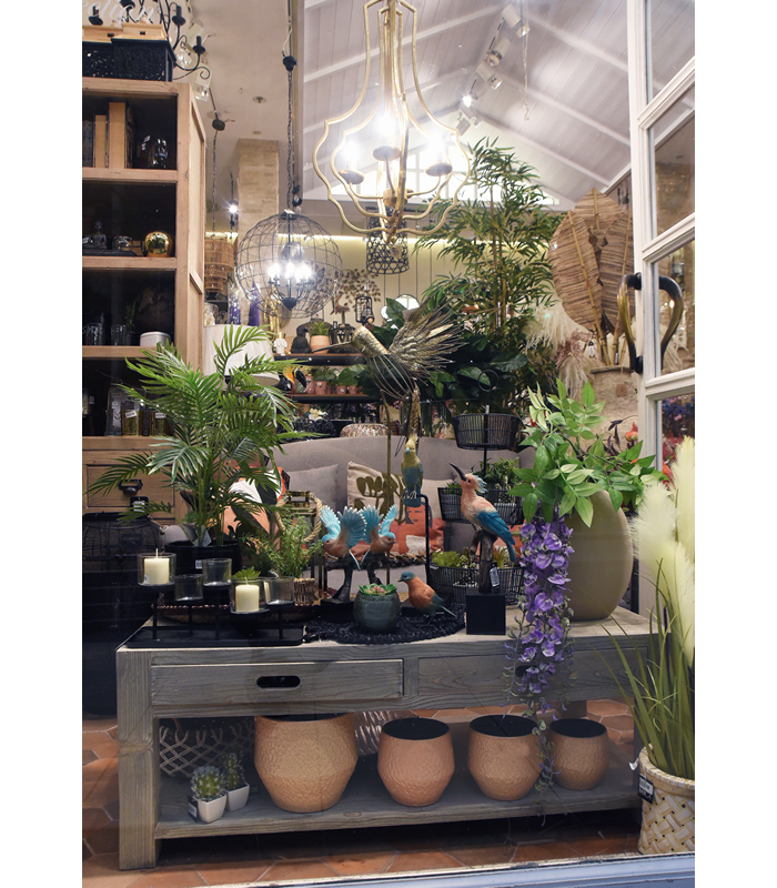 ΤΡΑΠΕΖΙ 120X60X45 CM ΣΑΛΟΝΙΟΥ VIEUX BROSSE image