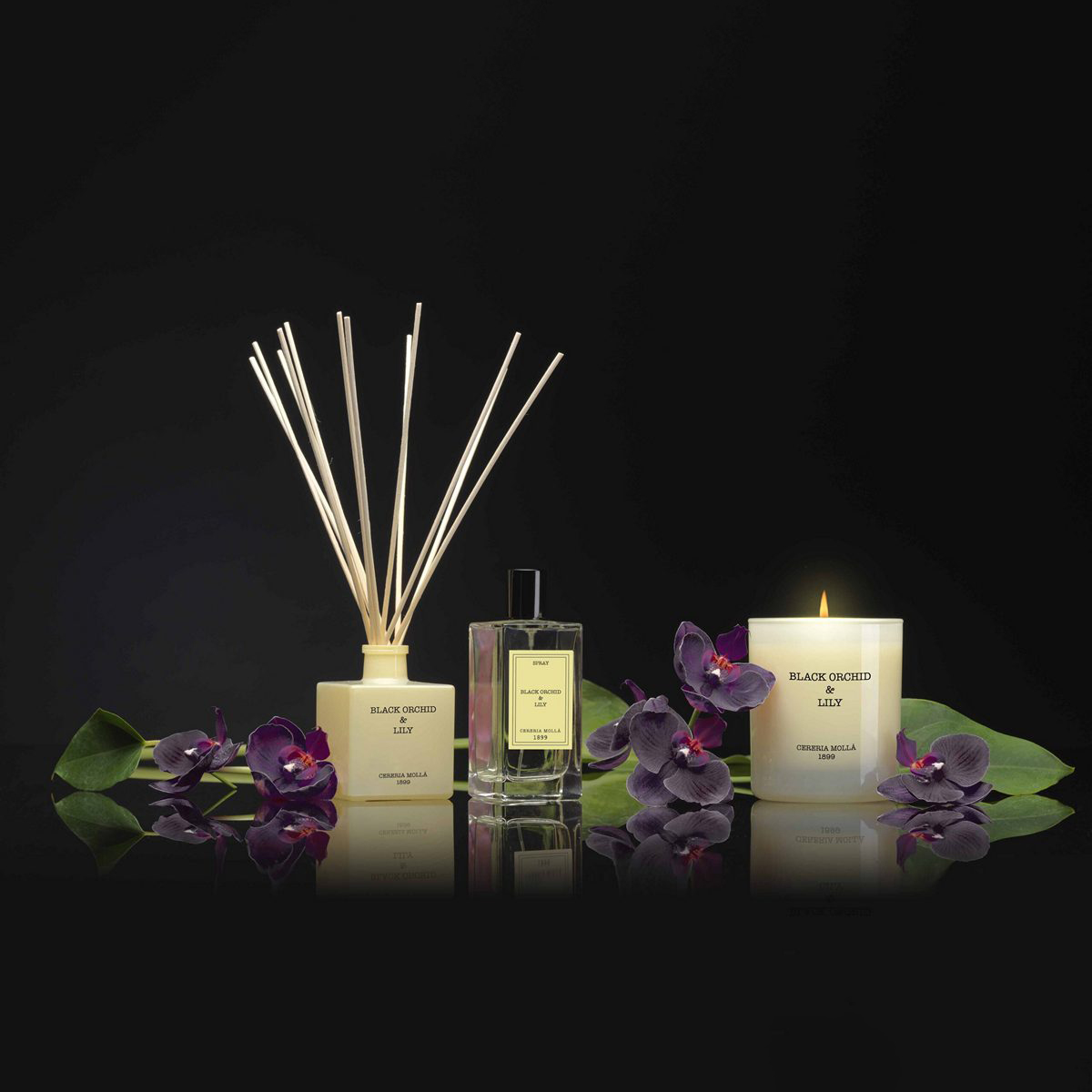 ΑΡΩΜΑΤΙΚΟ ΧΩΡΟΥ ivory 100ml με ξυλάκια PREMIUM black orchid & lily image