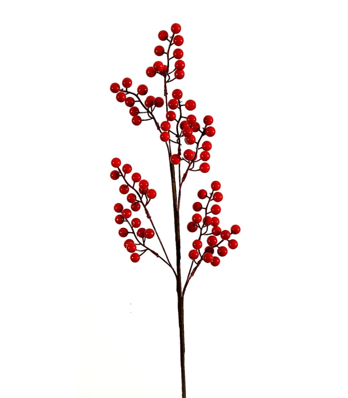 ΚΛΑΔΙ ΜΕ ΚΟΚΚΙΝΑ ΓΚΙ 76cm image