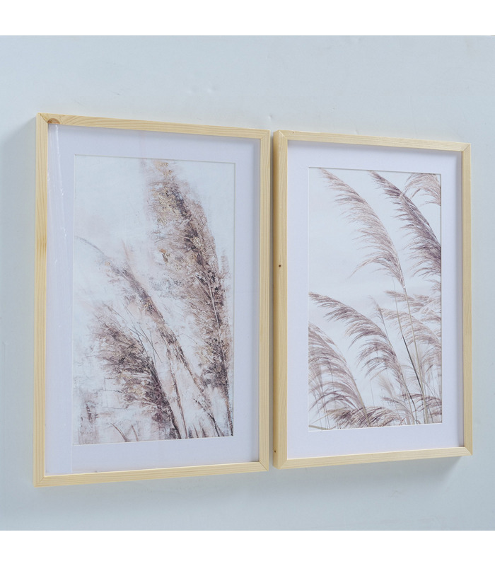 ΠΙΝΑΚΑΣ 2/ASS ΚΛΑΔΙΑ Pampasgrass W60cm image