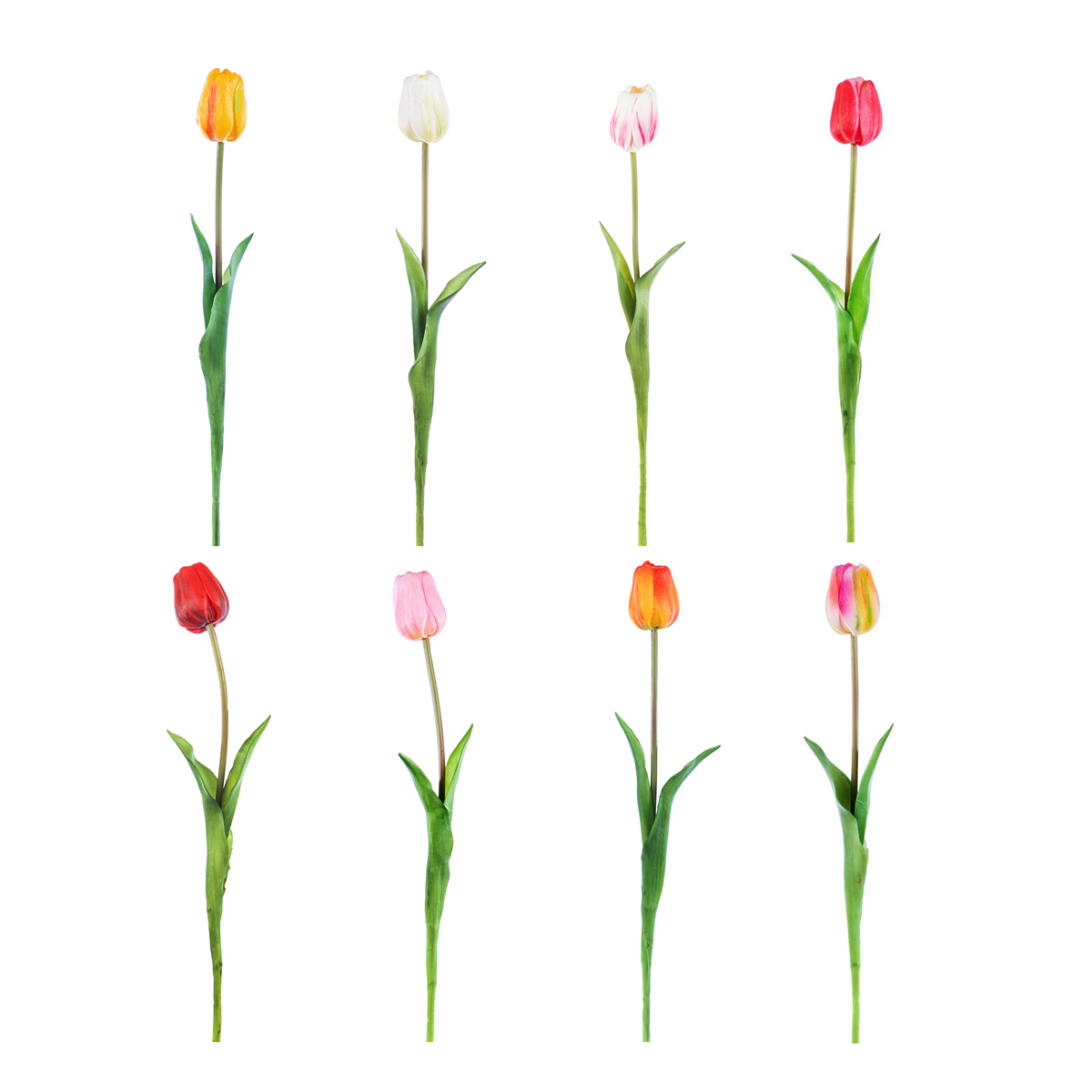 ΤΟΥΛΙΠΑ ΚΛΑΔΙ ASS/6 REAL TOUCH H47 CM image