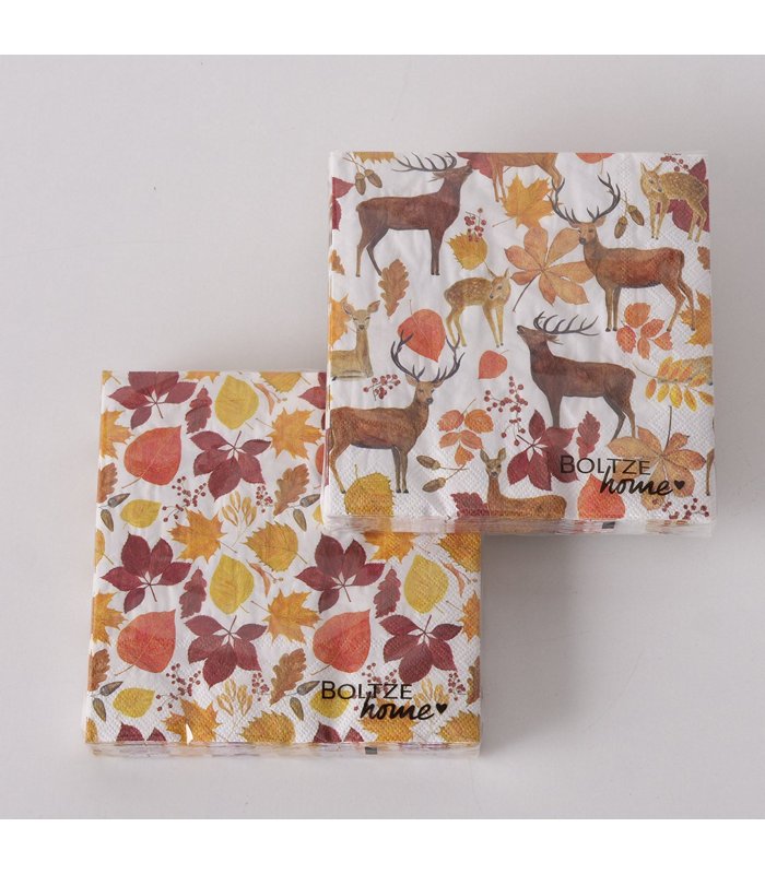 ΧΑΡΤΟΠΕΤΣΕΤΕΣ 2/ass 20τμχ Xander ΚΑΦΕ/ΠΟΡΤΟΚΑΛΙ ΧΑΡΤΙ image