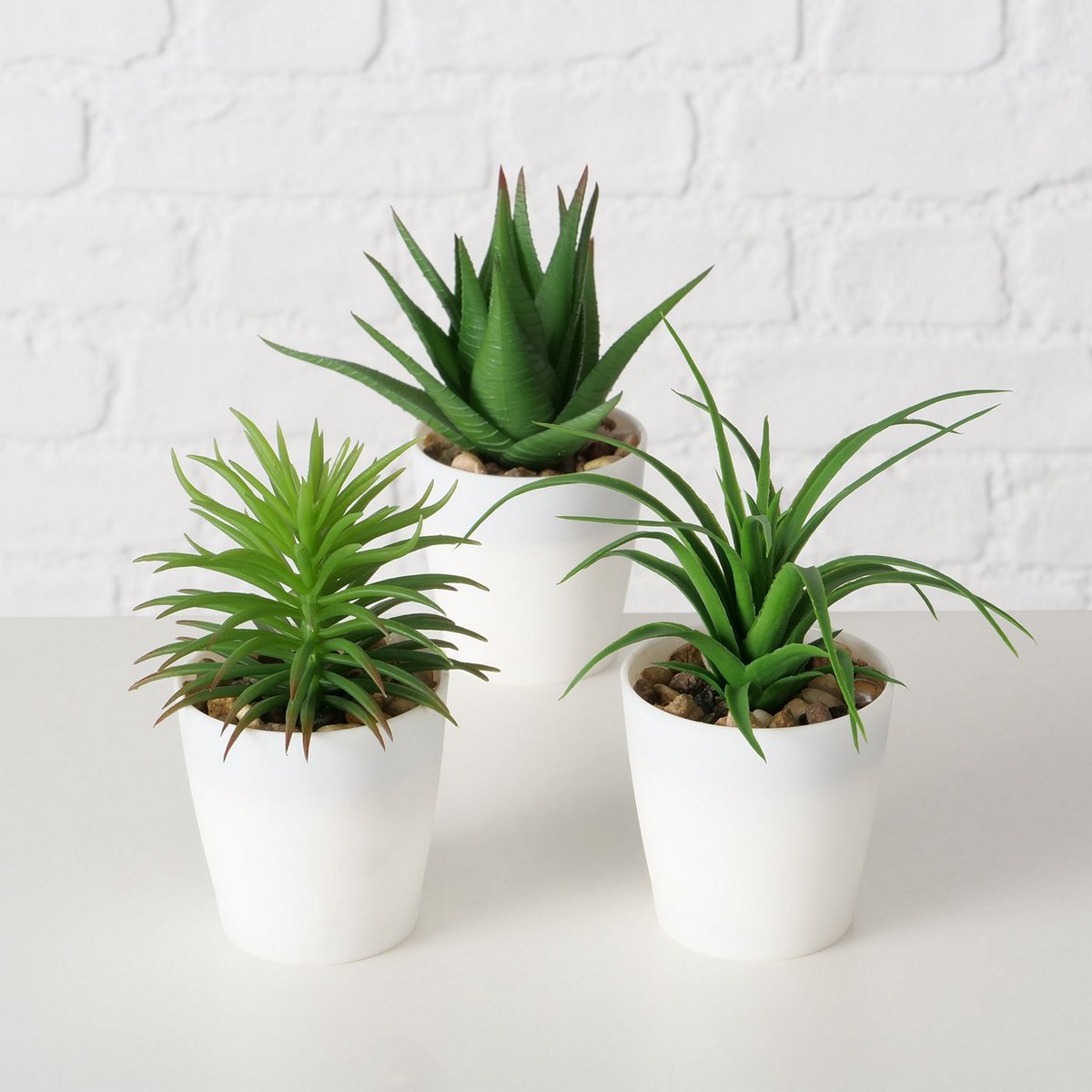 ΚΑΚΤΑΚΙΑ ΣΕ ΛΕΥΚΗ ΓΛΑΣΤΡΑ 3/ass Aloe Vera H15cm ΣΥΝΘΕΤΙΚΟ image