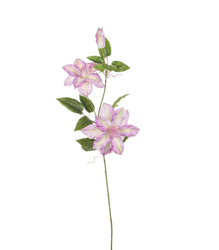 ΚΛΗΜΑΤΙΔΑ ΦΟΥΖ x 3 ΚΛΑΔΙ 85cm image