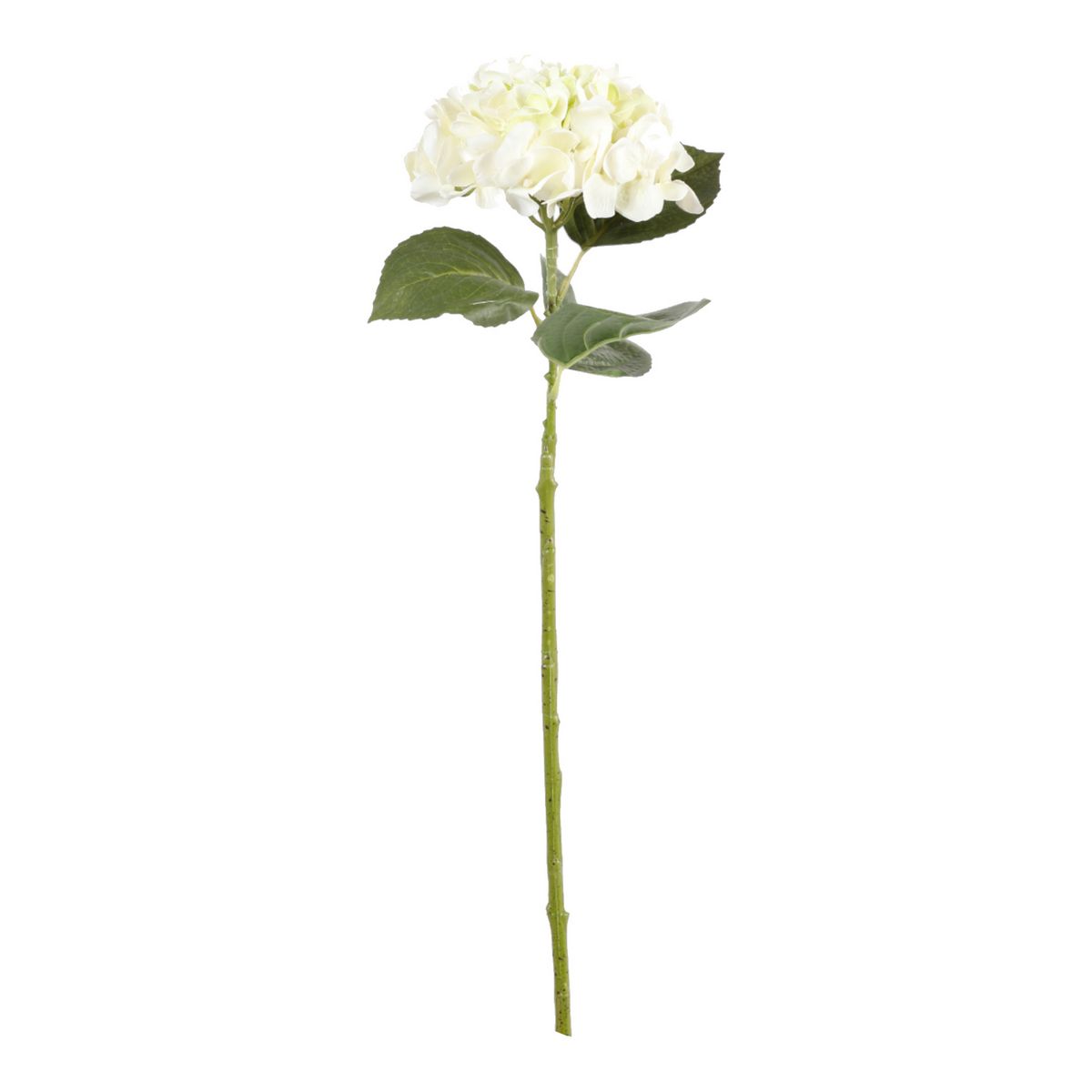 ΟΡΤΑΝΣΙΑ ΚΛΑΔΙ ΛΕΥΚΟ 82cm ΣΥΝΘΕΤΙΚΟ image