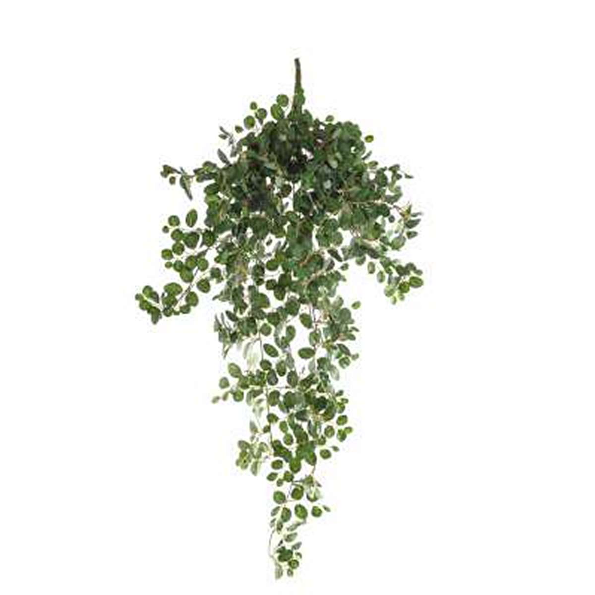 ΚΑΠΠΑΡΙΣ ΚΛΑΔΙ ΠΡΑΣΙΝΟ H90cm image