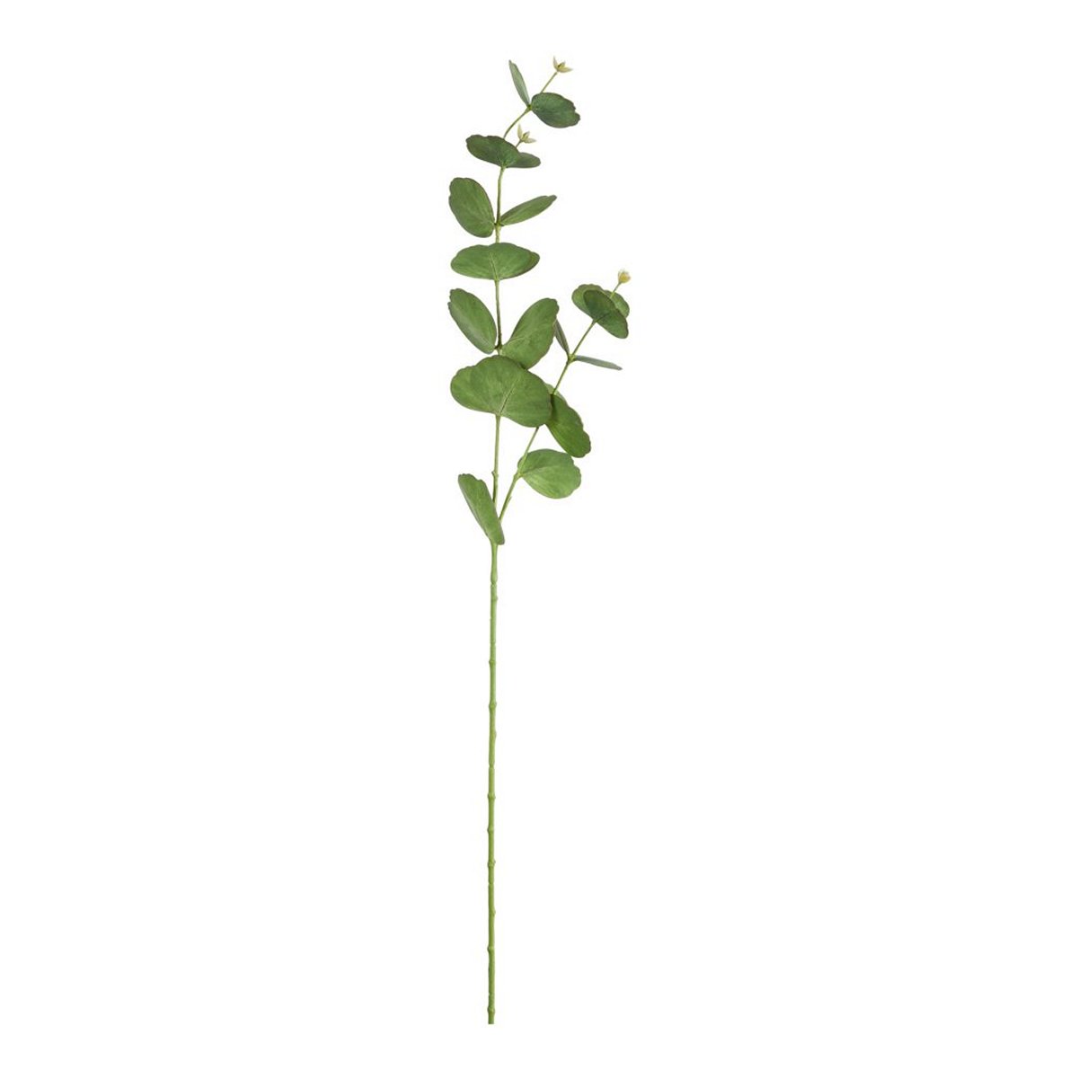 ΕΥΚΑΛΥΠΤΟΣ ΚΛΑΔΙ ΠΡΑΣΙΝΟ 77cm ΣΥΝΘΕΤΙΚΟ image