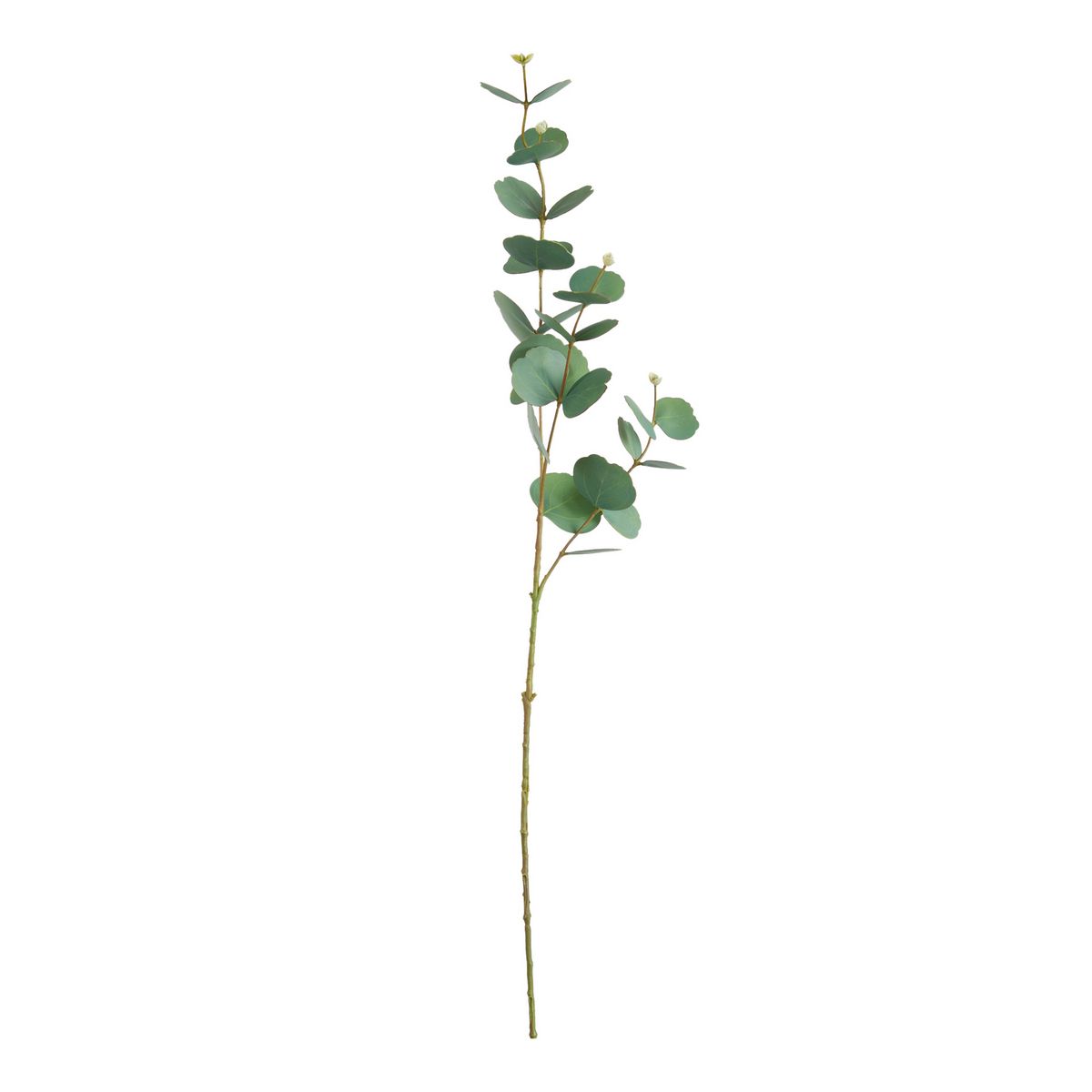 ΕΥΚΑΛΥΠΤΟΣ ΚΛΑΔΙ ΠΡΑΣΙΝΟ 88cm ΣΥΝΘΕΤΙΚΟ image