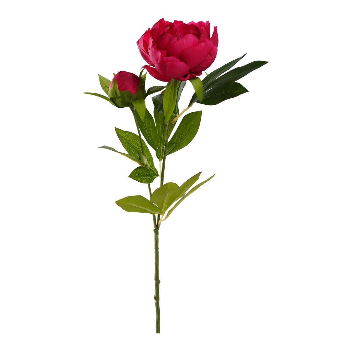 ΠΑΙΩΝΙΑ ΚΛΑΔΙ ΜΕ ΜΠΟΥΜΠΟΥΚΙ ΚΟΚΚΙΝΟ 72cm ΣΥΝΘΕΤΙΚΟ image