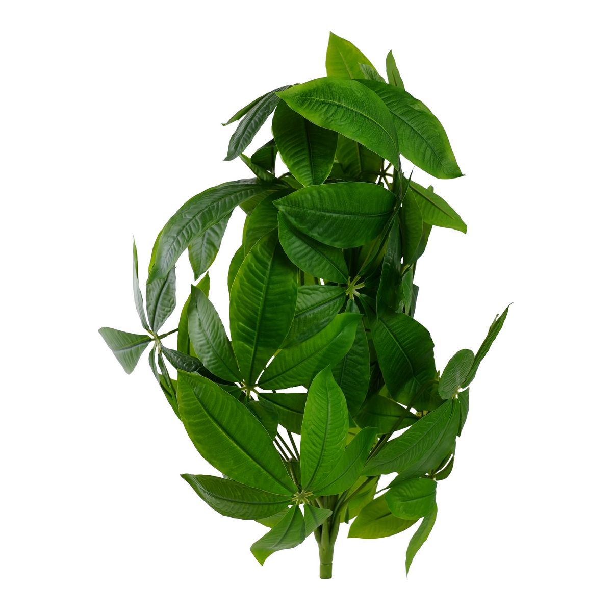 ΠΑΧΙΡΑ / ΚΑΣΤΑΝΙΑ ΦΥΤΟ x18 ΠΡΑΣΙΝΟ 70cm ΣΥΝΘΕΤΙΚΟ image