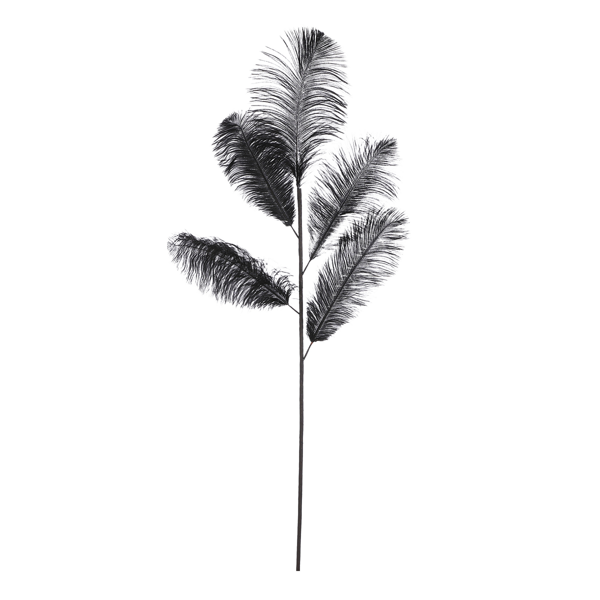ΚΛΑΔΙ ΠΟΥΠΟΥΛΟ ΜΑΥΡΟ - L125 W30cm feather image