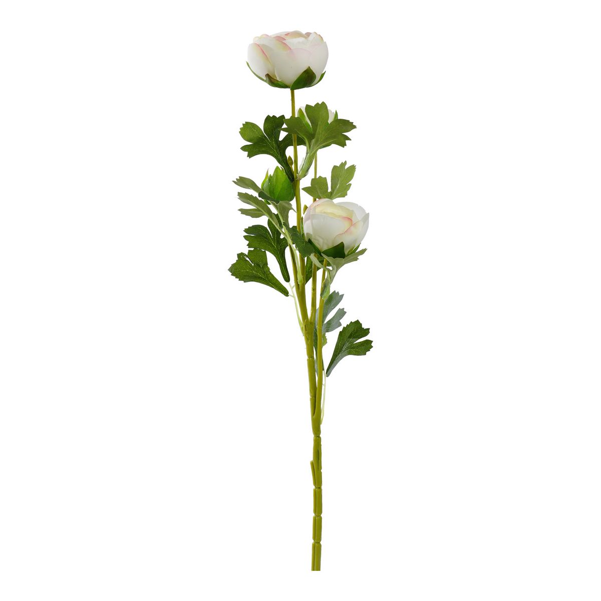 ΝΕΡΑΓΚΟΥΛΑ ΚΛΑΔΙ ΛΕΥΚΟ 65cm ΣΥΝΘΕΤΙΚΟ image