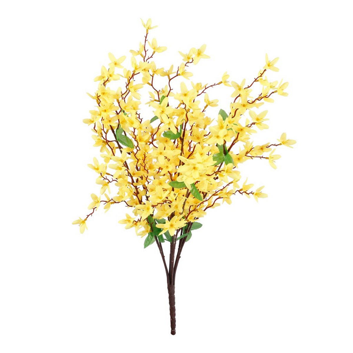ΚΛΑΔΙ Forsythia ΚΙΤΡΙΝΟ 60m image