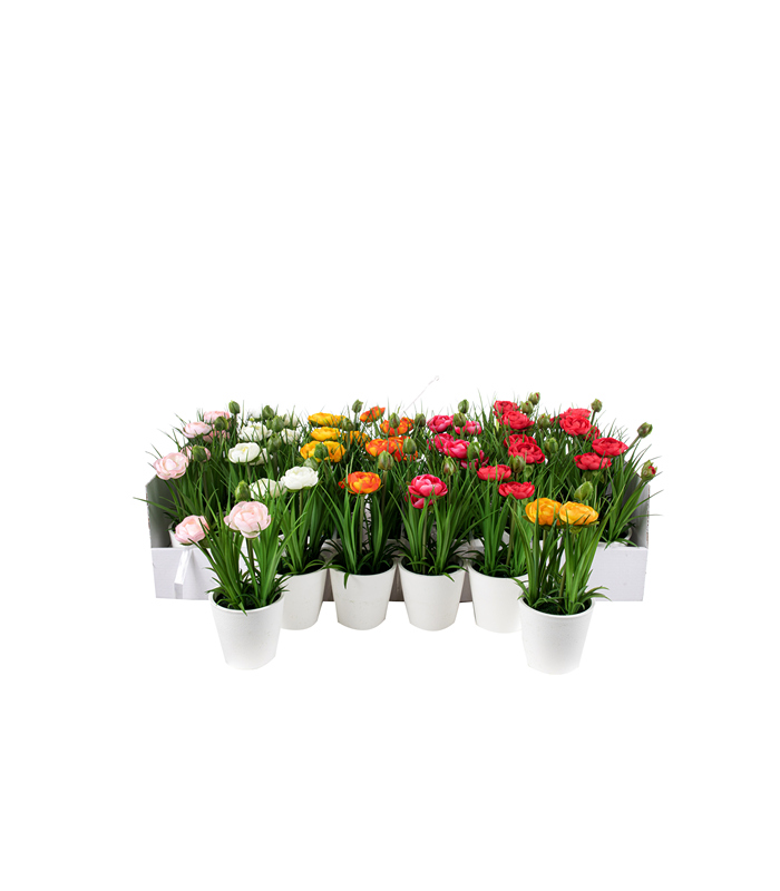 ΝΕΡΑΓΚΟΥΛΑ ASS/7 ΦΥΤΟ ΣΕ ΚΑΣΠΩ H21cm (BOX 28pcs) image