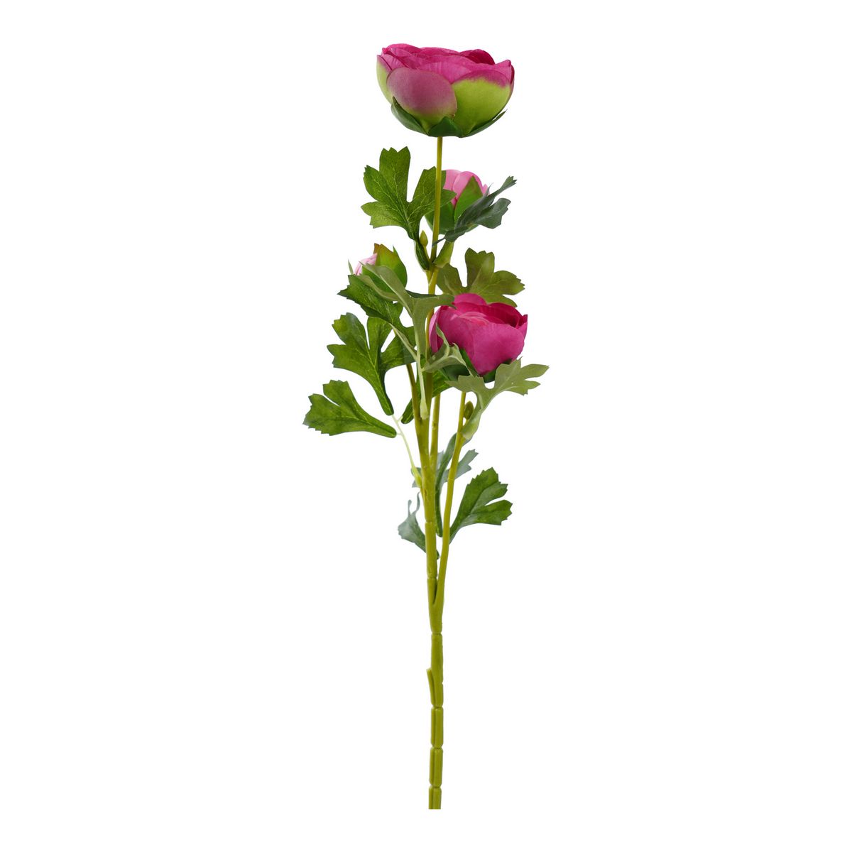 ΝΕΡΑΓΚΟΥΛΑ ΚΛΑΔΙ ΚΟΚΚΙΝΟ 65cm ΣΥΝΘΕΤΙΚΟ image