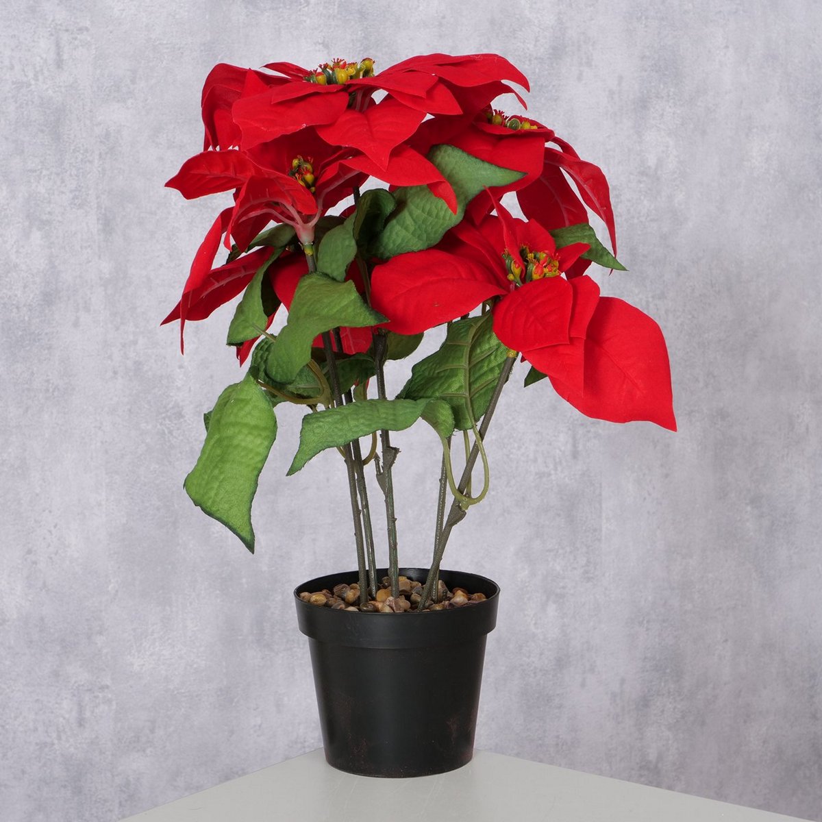 ΑΛΕΞΑΝΔΡΙΝΟ ΚΟΚΚΙΝΟ ΦΥΤΟ Indoor H40cm D30cm Iron Plastic Polyester image