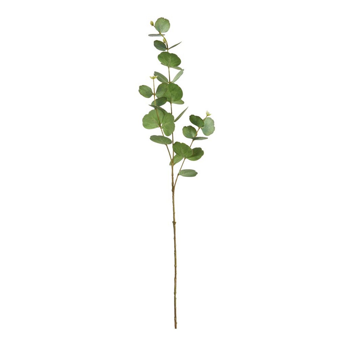 ΕΥΚΑΛΥΠΤΟΣ ΚΛΑΔΙ ΠΡΑΣΙΝΟ 88cm ΣΥΝΘΕΤΙΚΟ image