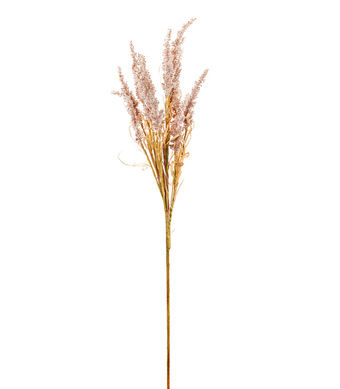 ΚΑΛΑΜΑΓΚΡΟΣΤΙΣ ΚΛΑΔΙ ΚΑΦΕ 85cm image